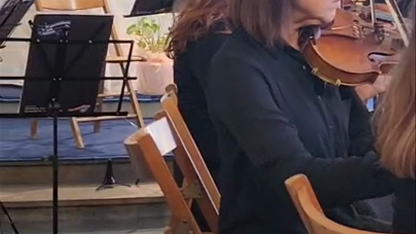 Orchestra Ars Ludi direttrice Maestro Dina Guetti
