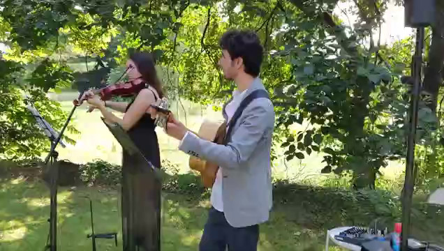 Violino e Chitarra