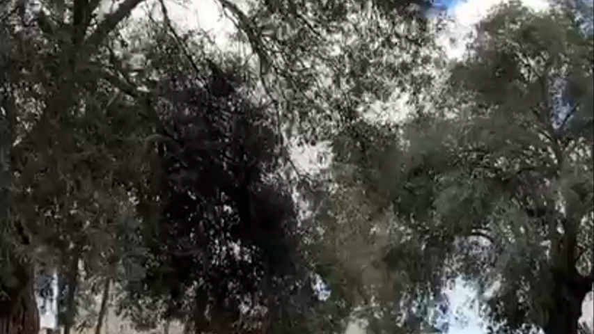 IANCO. Natura, Storia, Emozioni.