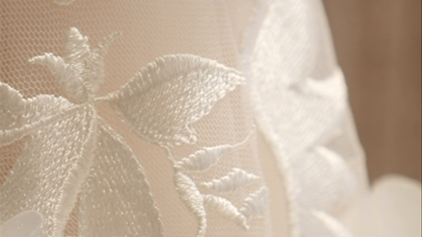 Trunk Show Muse By Berta