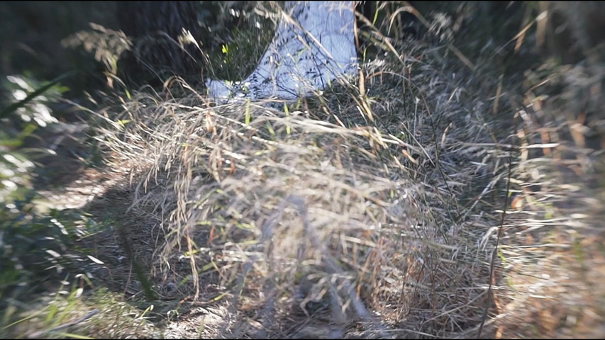 Video: Daniele Fusco - Timeless Lovestory