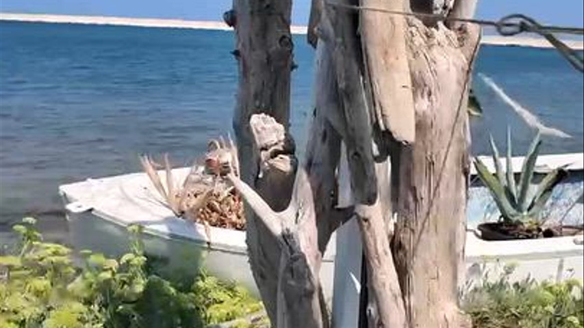 Al Sole Resort 