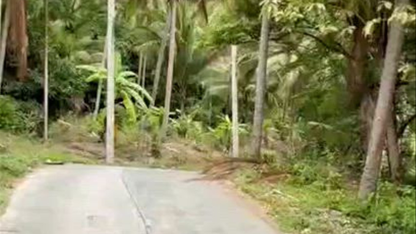 Giro in GolfCar per Koh Samui