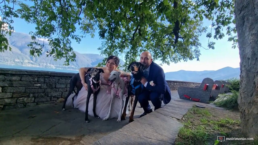 Matrimonio a 12 zampe