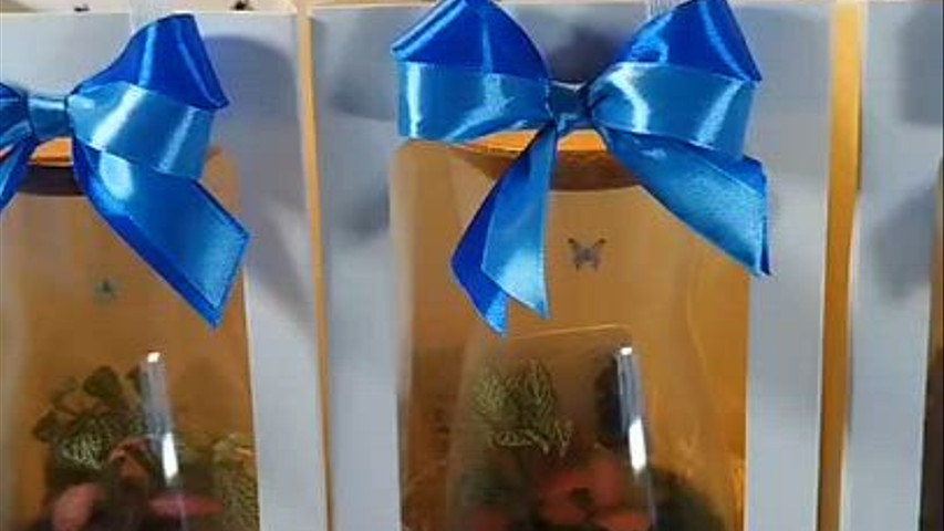Video presentazione