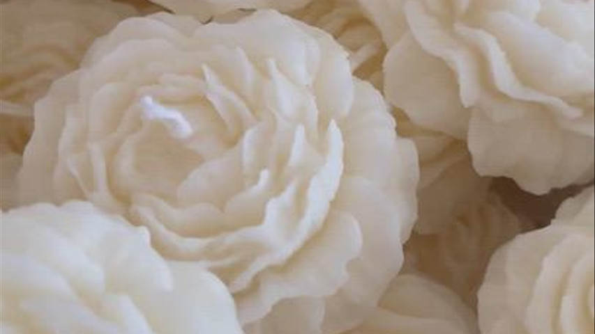 Peonie