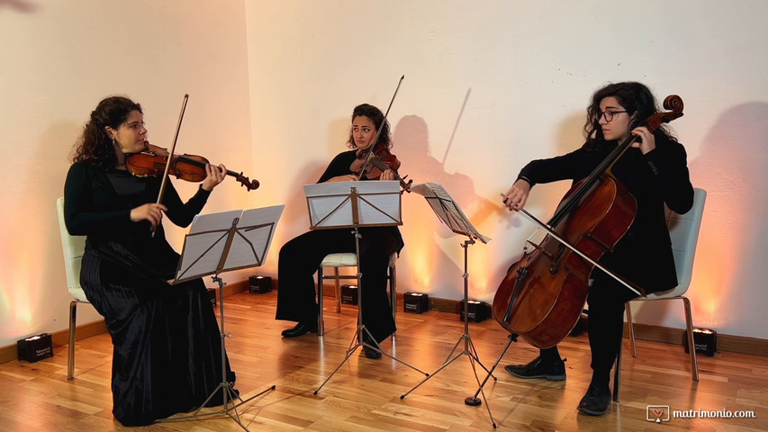 quartetto di archi live