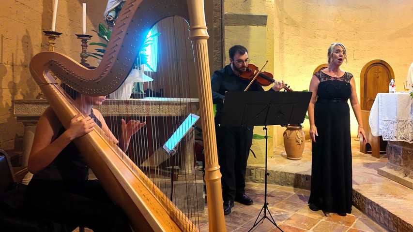 Trio voce violino e arpa - Siena