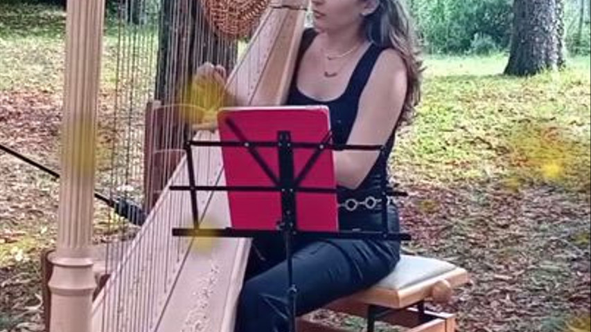 Sellitri Wedding Music