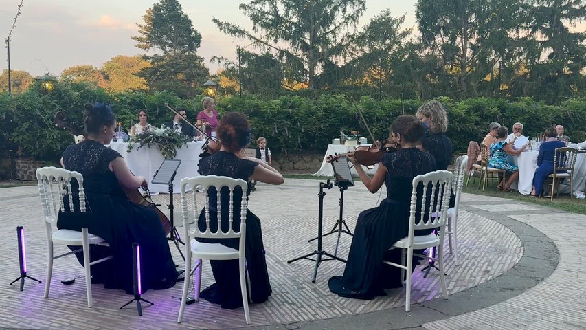 Quartetto d'archi - Palladio