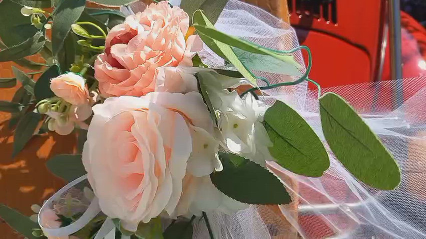 Qua la Zampa Taormina