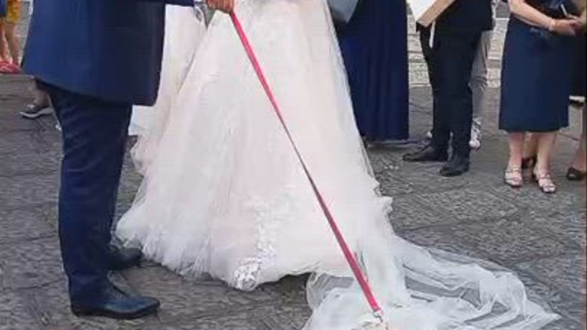 Qua la Zampa Taormina