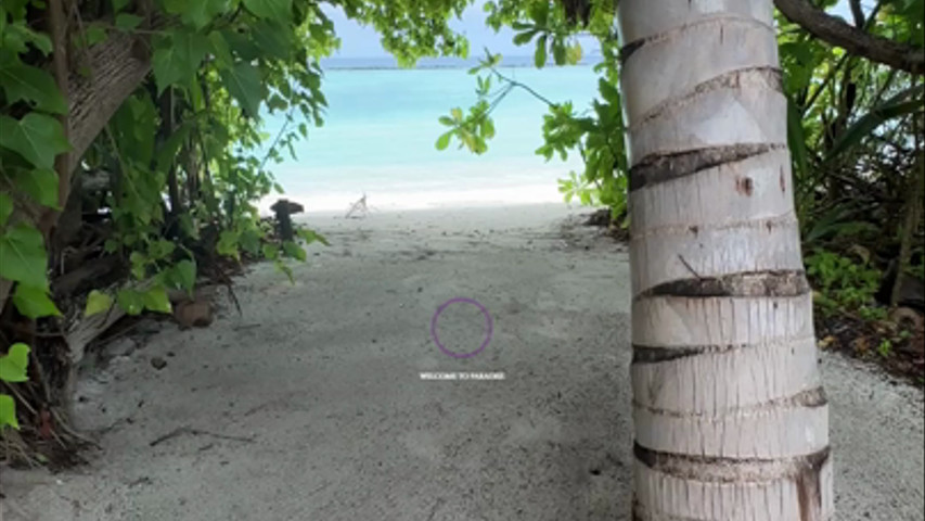 MALDIVE
