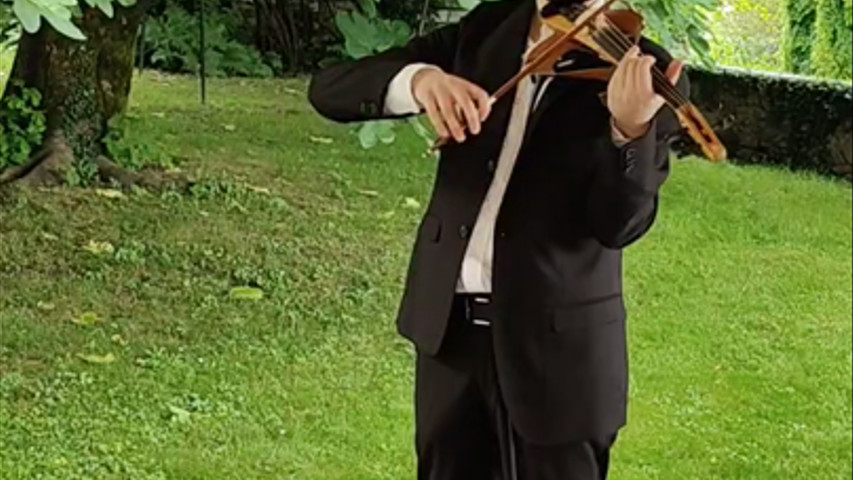 ViOLINO ELETTRIC0