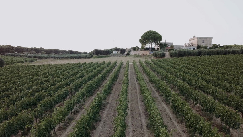 Matrimonio a Ostuni