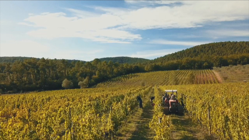 Podere Cerciano