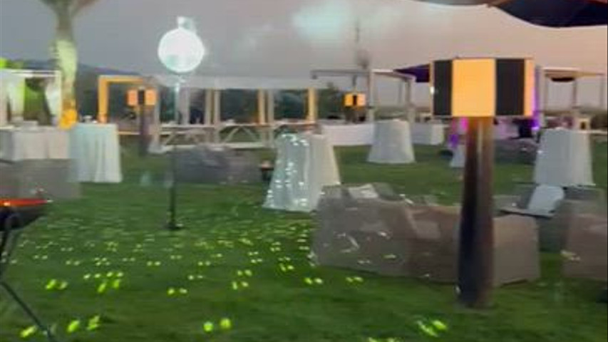 mirror ball