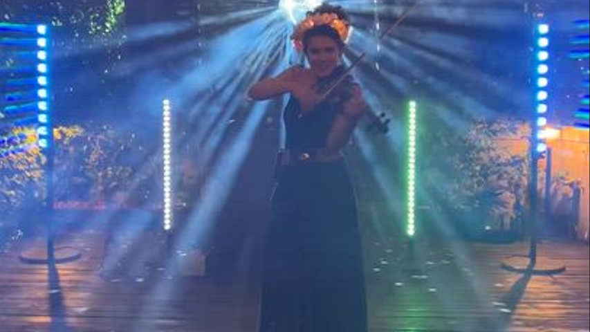 violino