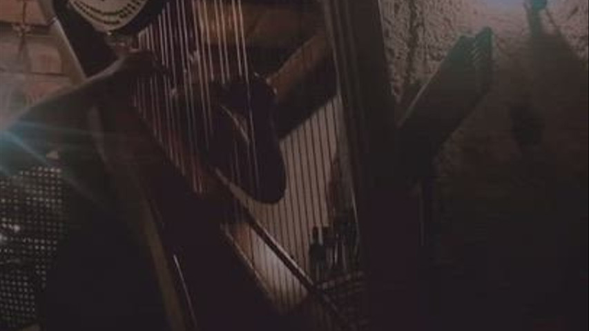 Musicheventi - Arpa
