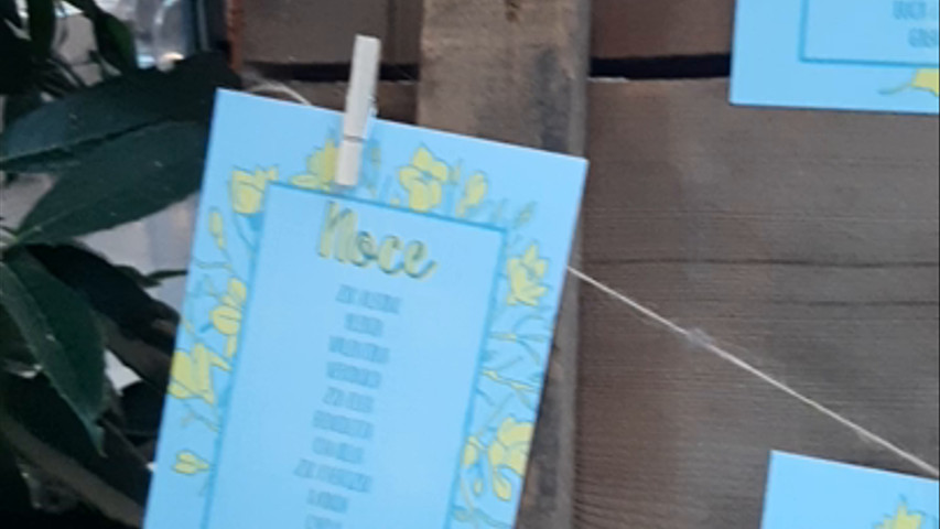 Il Tableau de Mariage di Fiorella ed Efrem