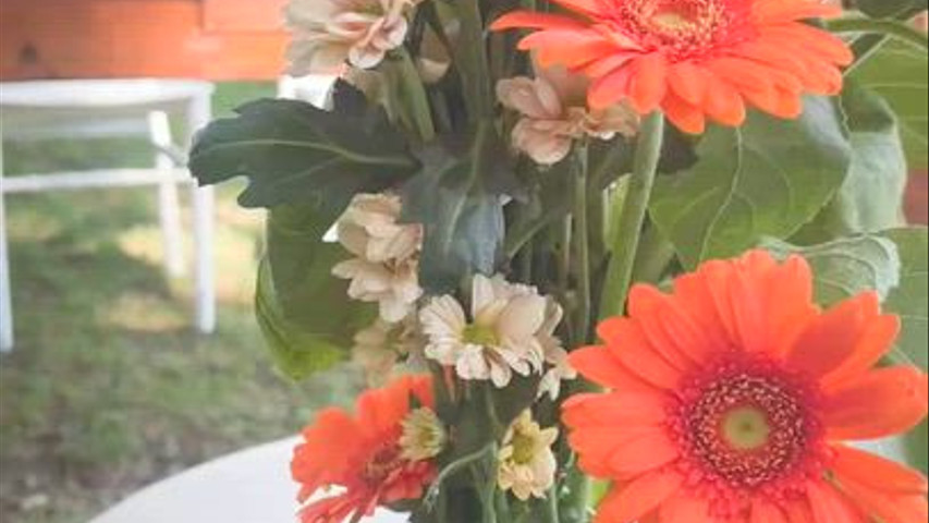 Molino Secondo Flower Farm