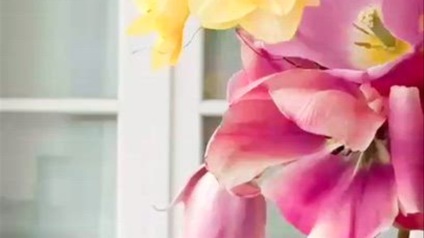 Molino Secondo Flower Farm