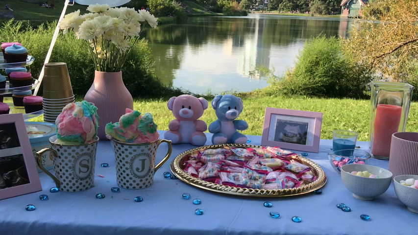 Gender Reveal Party