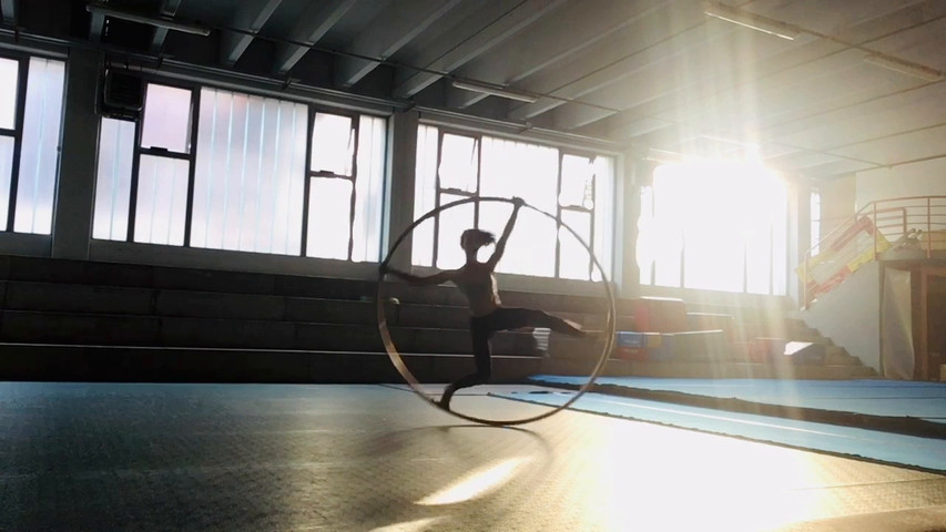 Cyr wheel training 