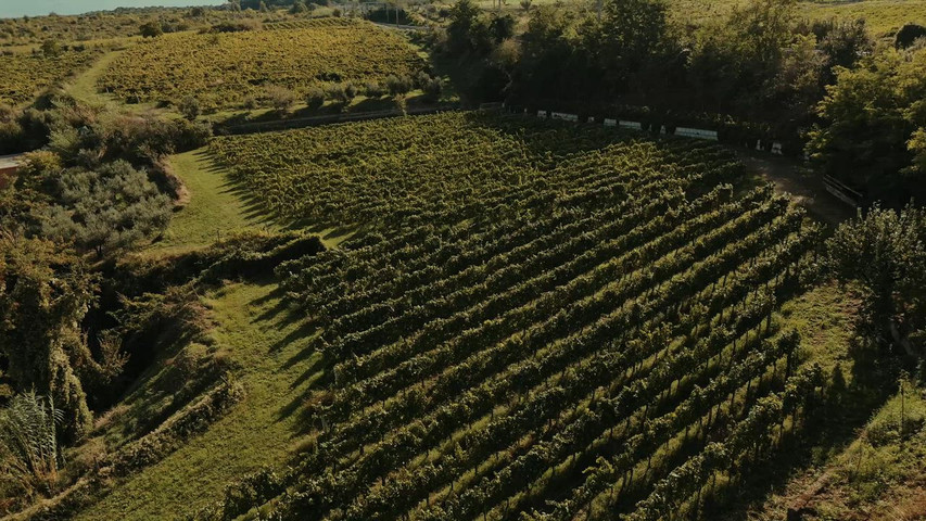Merumalia Wine Loft