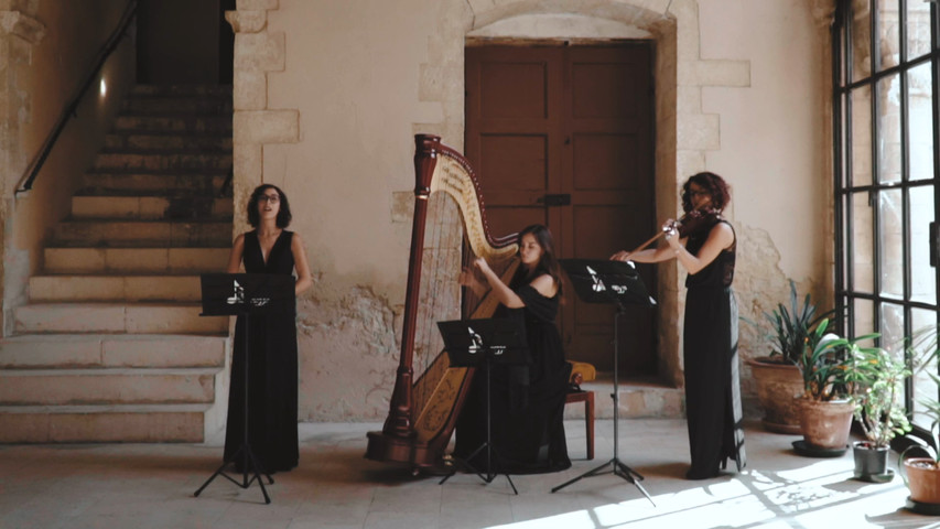 Alleluia, L. Cohen - Arpa violino e voce leggera