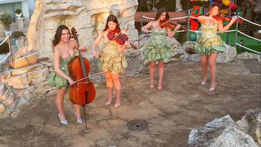 Stradivarius Experience