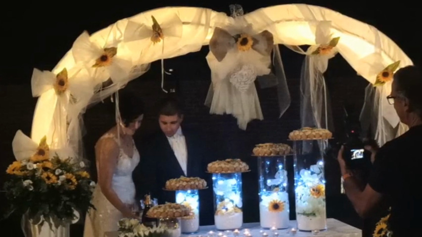 Careless Whisper - Taglio Torta - AnnaSax & DJSet - matrimonio a Villa Cornaro - Zimella (VR)