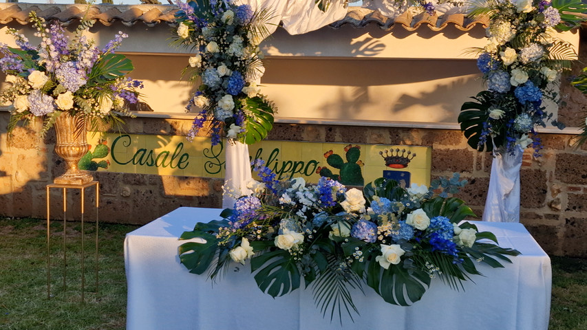 Presentazione 