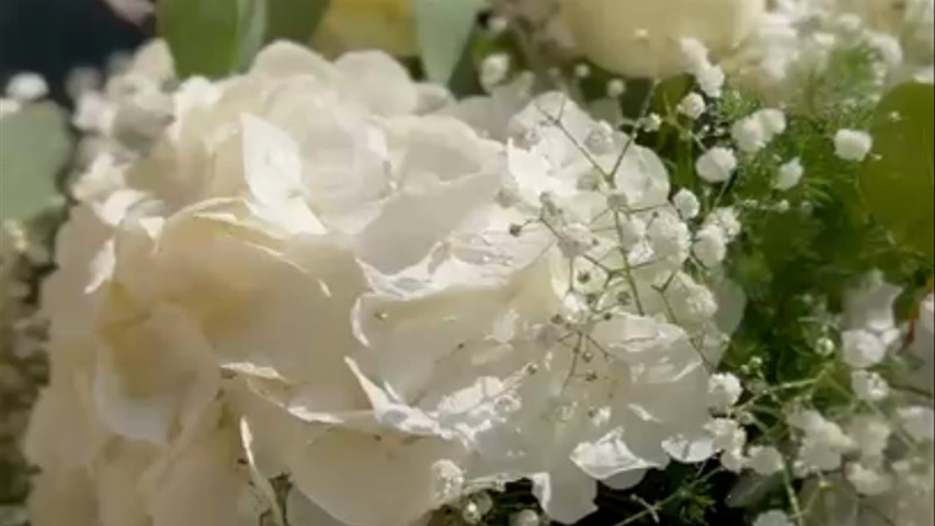 Chiara Flora - Flor Design Luciano Rizzi