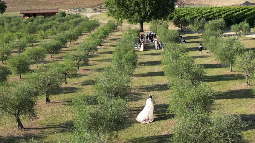 Tenuta dei Mori