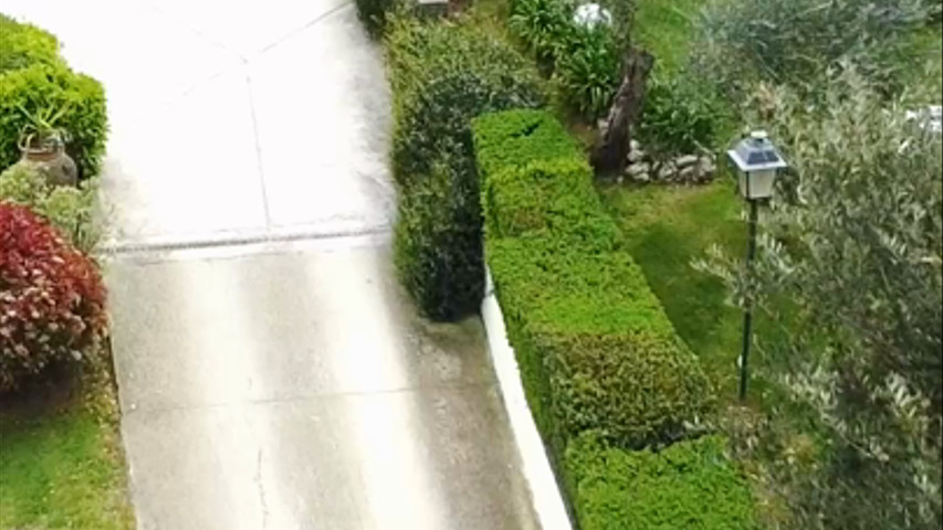 Viale 