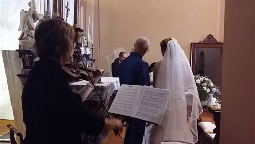 Violino per matrimoni