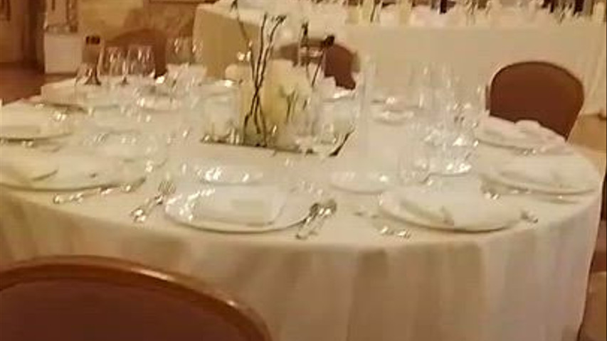Salone delle Feste. St. Regis , Firenze