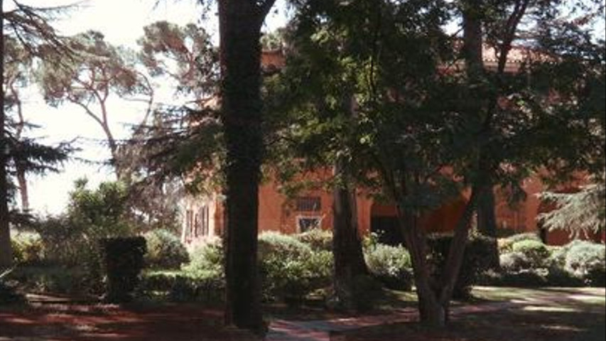 Location Salone