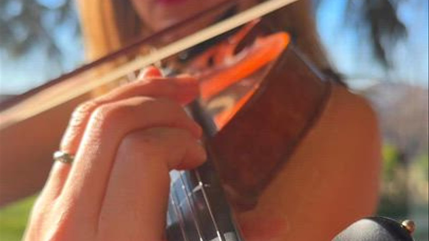 Violino 