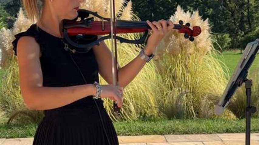 Violino elettrico 