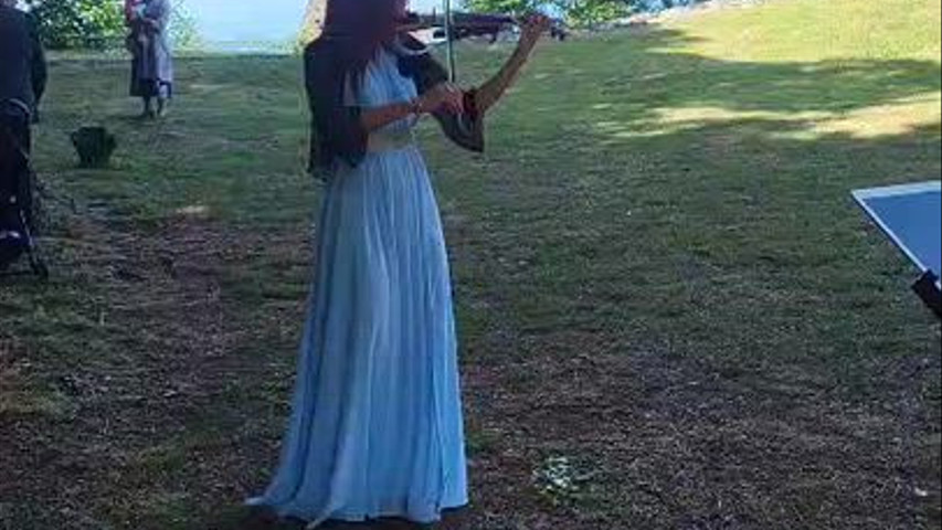 VIOLINISTA 