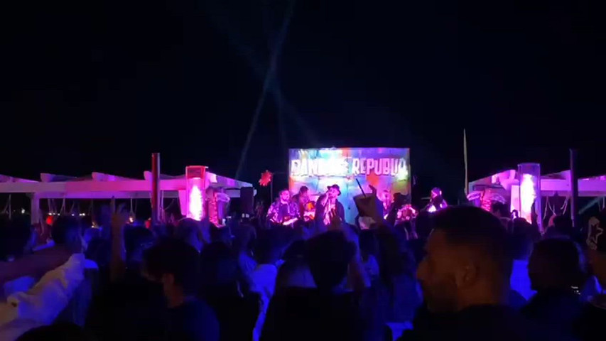 banana's live summer