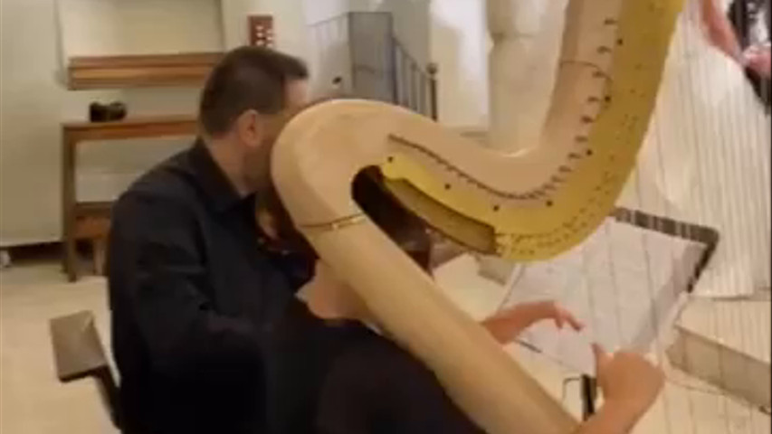 Perfect Arpa e violino 
