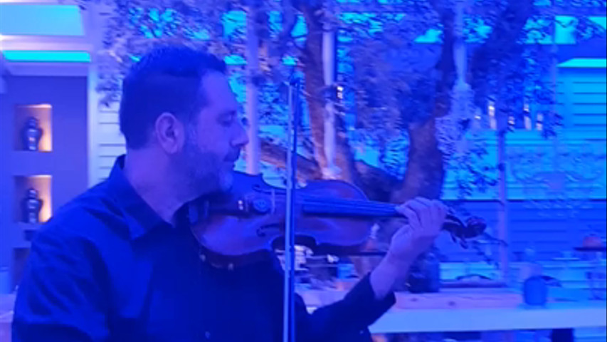 Violino 