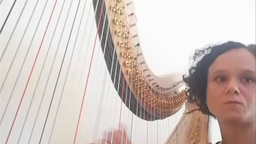 Armonie D'Arpa