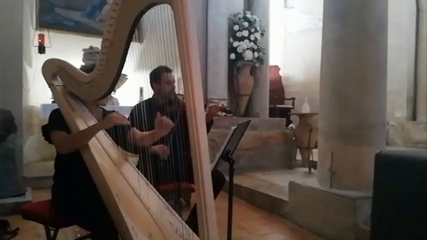 Musica leggera Arpa e Violino 