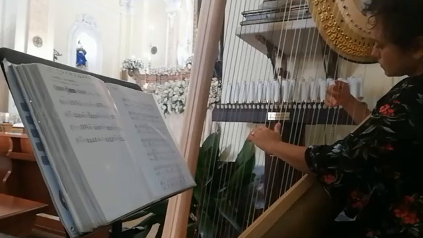 Arpa per matrimonio Avellino 