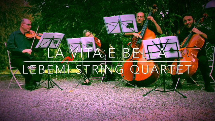 String Quartet Lebemi