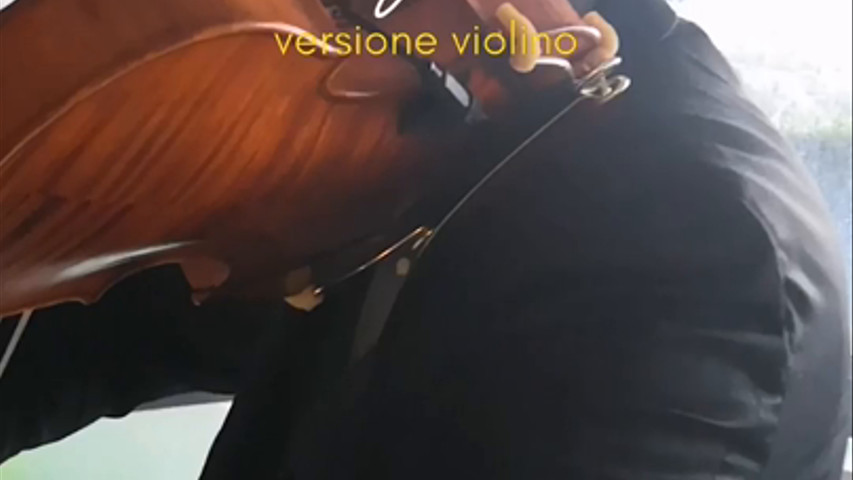 Violino Project